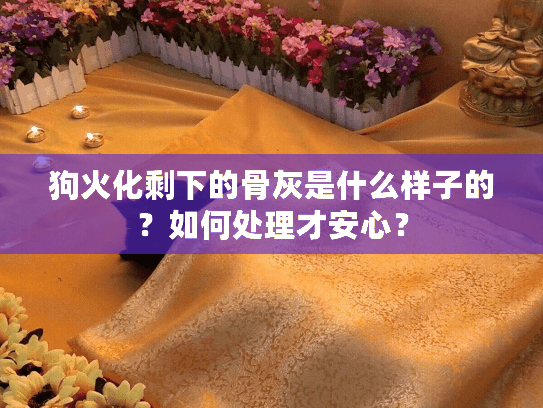 狗火化剩下的骨灰是什么样子的？如何处理才安心？