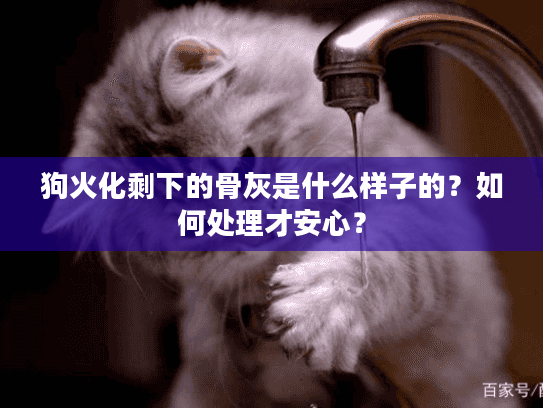 狗火化剩下的骨灰是什么样子的？如何处理才安心？