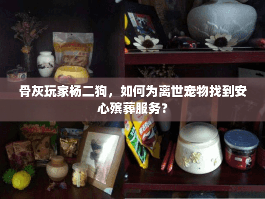 骨灰玩家杨二狗，如何为离世宠物找到安心殡葬服务？