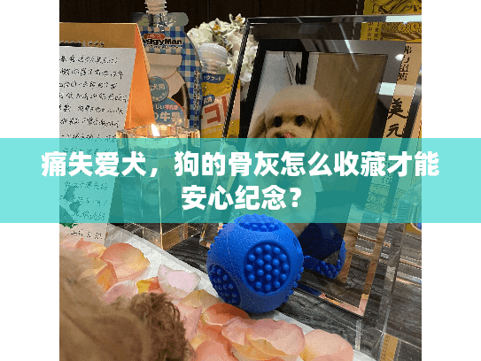 痛失爱犬，狗的骨灰怎么收藏才能安心纪念？