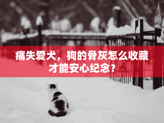 痛失爱犬，狗的骨灰怎么收藏才能安心纪念？