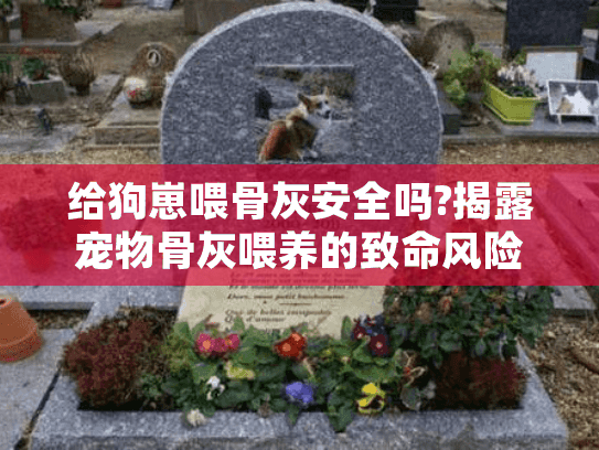 给狗崽喂骨灰安全吗?揭露宠物骨灰喂养的致命风险与正确方案