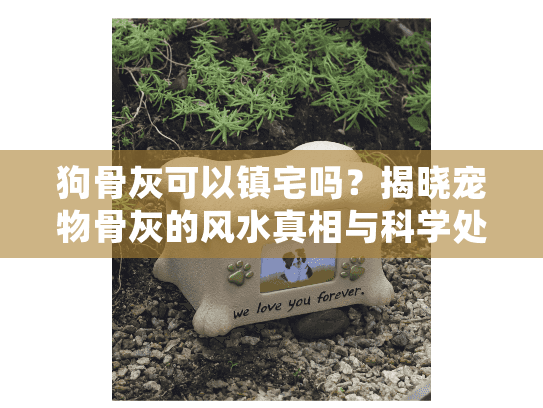 狗骨灰可以镇宅吗？揭晓宠物骨灰的风水真相与科学处理指南