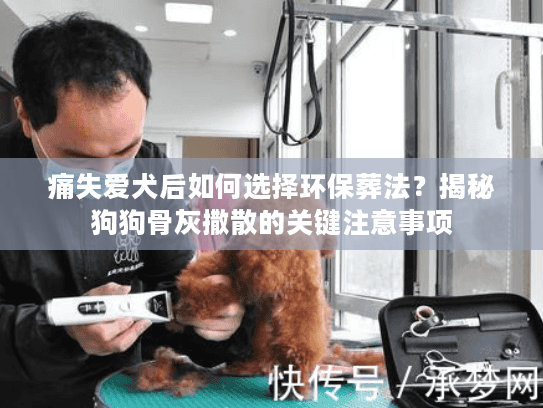 痛失爱犬后如何选择环保葬法？揭秘狗狗骨灰撒散的关键注意事项