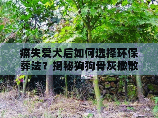 痛失爱犬后如何选择环保葬法？揭秘狗狗骨灰撒散的关键注意事项
