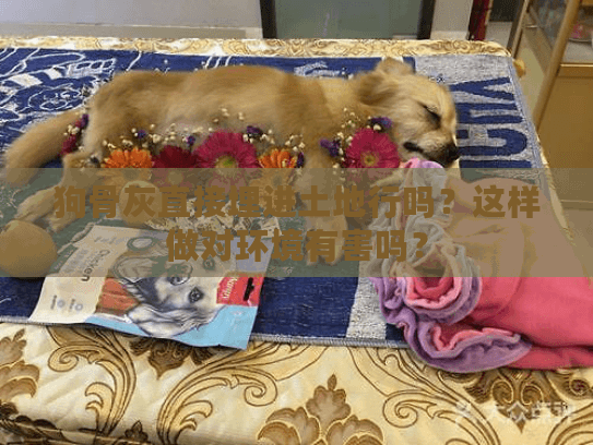 狗骨灰直接埋进土地行吗？这样做对环境有害吗？