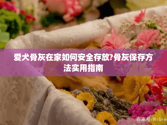 爱犬骨灰在家如何安全存放?骨灰保存方法实用指南