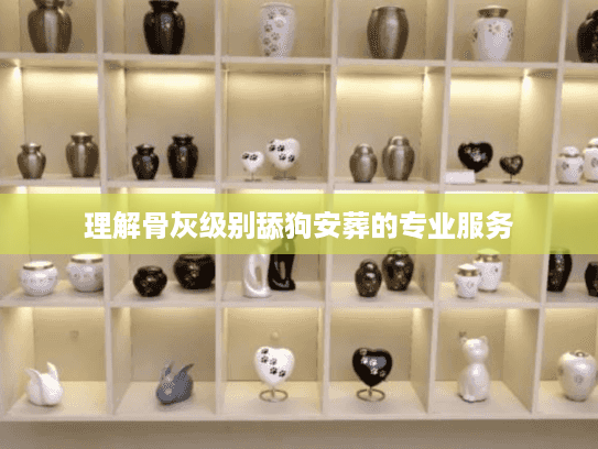 理解骨灰级别舔狗安葬的专业服务
