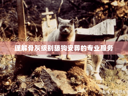 理解骨灰级别舔狗安葬的专业服务