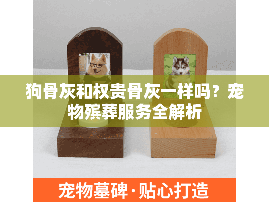 狗骨灰和权贵骨灰一样吗？宠物殡葬服务全解析