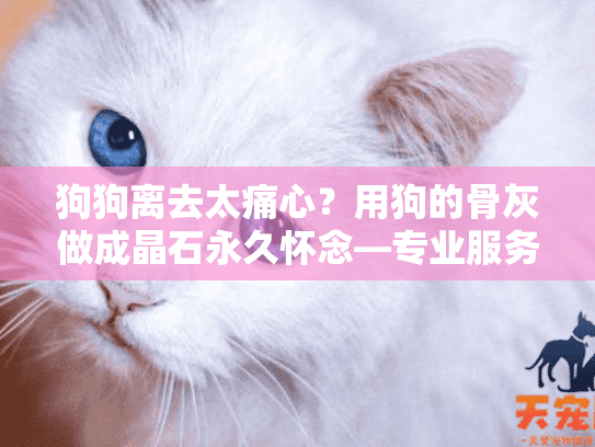 狗狗离去太痛心？用狗的骨灰做成晶石永久怀念—专业服务指南