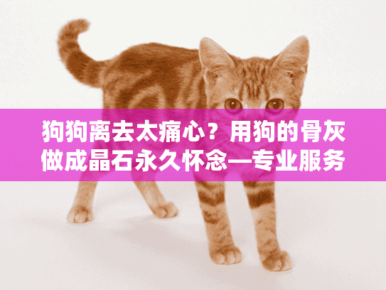 狗狗离去太痛心？用狗的骨灰做成晶石永久怀念—专业服务指南