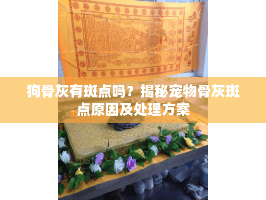狗骨灰有斑点吗？揭秘宠物骨灰斑点原因及处理方案