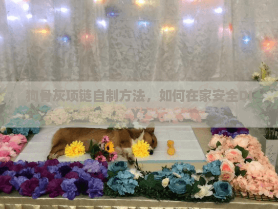 狗骨灰项链自制方法，如何在家安全DIY？