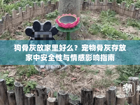狗骨灰放家里好么？宠物骨灰存放家中安全性与情感影响指南