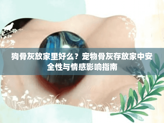 狗骨灰放家里好么？宠物骨灰存放家中安全性与情感影响指南
