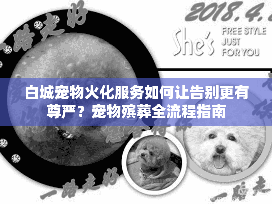 白城宠物火化服务如何让告别更有尊严？宠物殡葬全流程指南