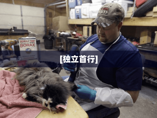 [独立首行]