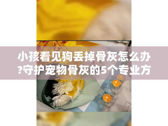 小孩看见狗丢掉骨灰怎么办?守护宠物骨灰的5个专业方案