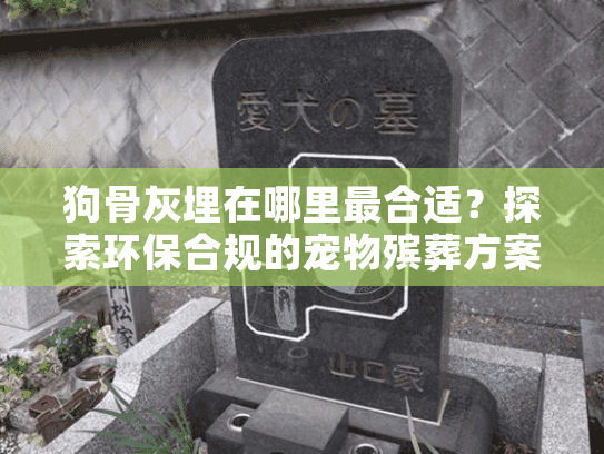狗骨灰埋在哪里最合适？探索环保合规的宠物殡葬方案