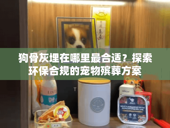 狗骨灰埋在哪里最合适？探索环保合规的宠物殡葬方案