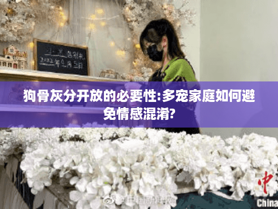狗骨灰分开放的必要性:多宠家庭如何避免情感混淆?