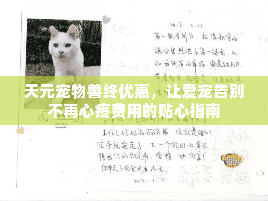 天元宠物善终优惠，让爱宠告别不再心疼费用的贴心指南