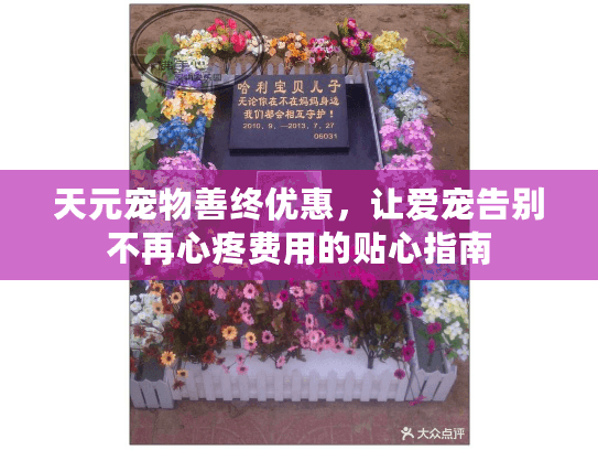 天元宠物善终优惠,让爱宠告别不再心疼费用的贴心指南