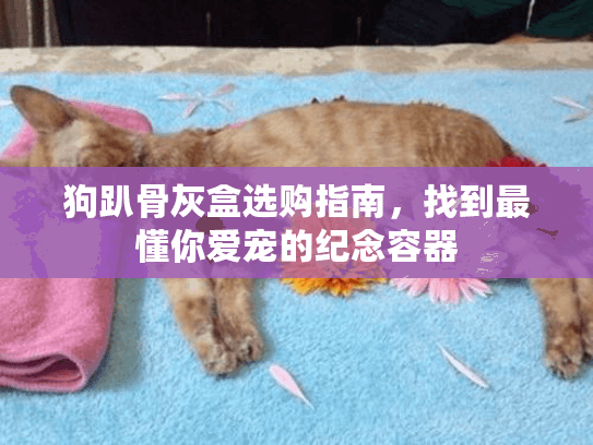 狗趴骨灰盒选购指南，找到最懂你爱宠的纪念容器