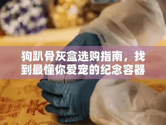狗趴骨灰盒选购指南，找到最懂你爱宠的纪念容器