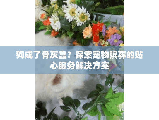 狗成了骨灰盒？探索宠物殡葬的贴心服务解决方案