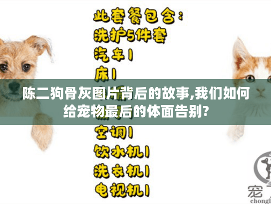 陈二狗骨灰图片背后的故事,我们如何给宠物最后的体面告别?