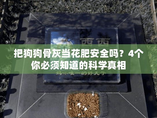 把狗狗骨灰当花肥安全吗？4个你必须知道的科学真相
