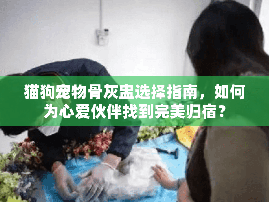 猫狗宠物骨灰盅选择指南，如何为心爱伙伴找到完美归宿？