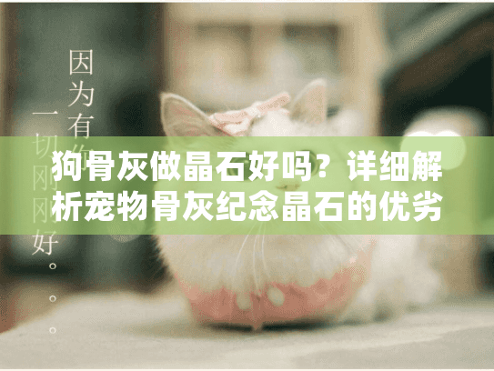 狗骨灰做晶石好吗？详细解析宠物骨灰纪念晶石的优劣