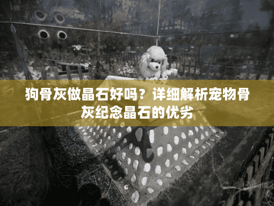 狗骨灰做晶石好吗？详细解析宠物骨灰纪念晶石的优劣