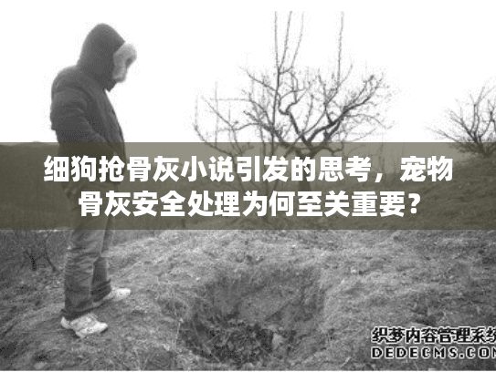细狗抢骨灰小说引发的思考，宠物骨灰安全处理为何至关重要？