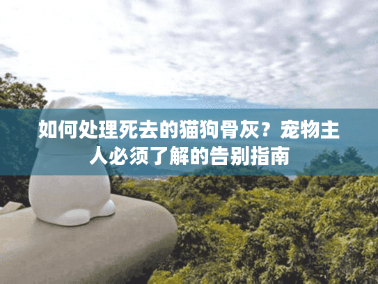 如何处理死去的猫狗骨灰？宠物主人必须了解的告别指南