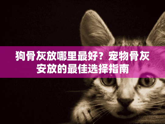 狗骨灰放哪里最好？宠物骨灰安放的最佳选择指南