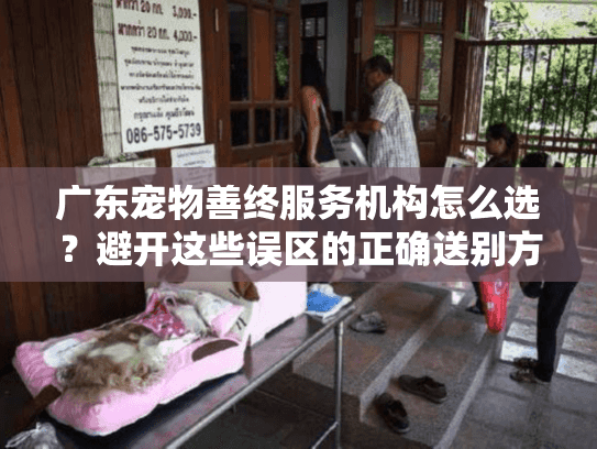 广东宠物善终服务机构怎么选？避开这些误区的正确送别方式