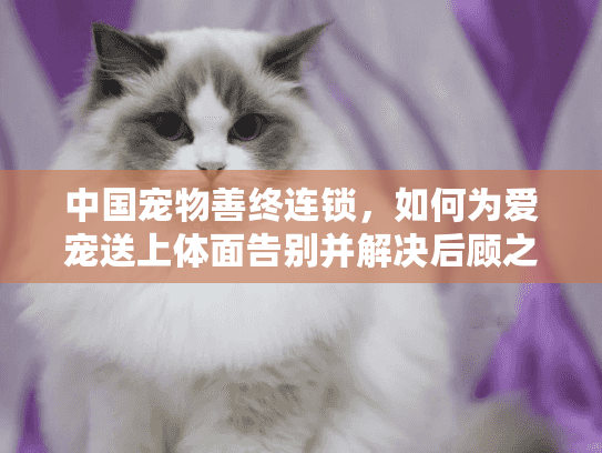 中国宠物善终连锁，如何为爱宠送上体面告别并解决后顾之忧？