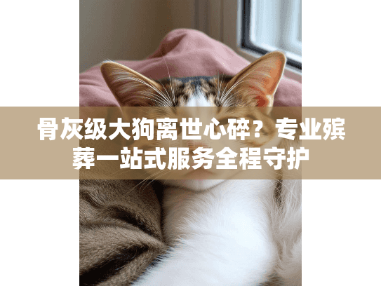 骨灰级大狗离世心碎？专业殡葬一站式服务全程守护