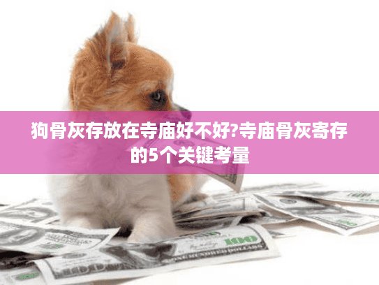 狗骨灰存放在寺庙好不好?寺庙骨灰寄存的5个关键考量
