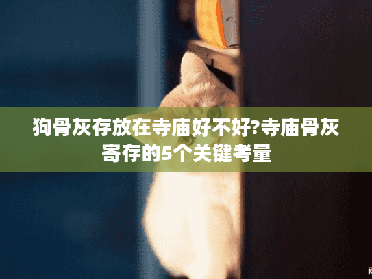 狗骨灰存放在寺庙好不好?寺庙骨灰寄存的5个关键考量