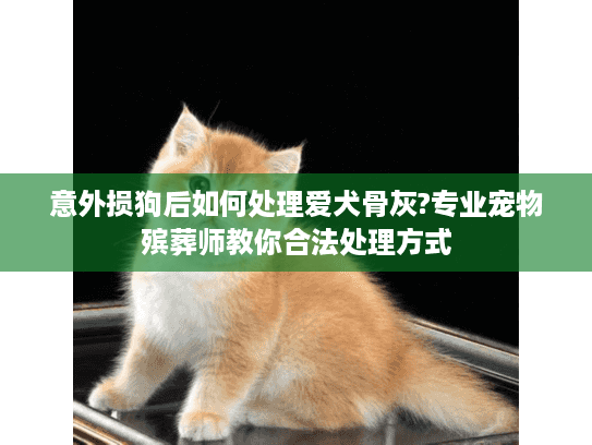 意外损狗后如何处理爱犬骨灰?专业宠物殡葬师教你合法处理方式