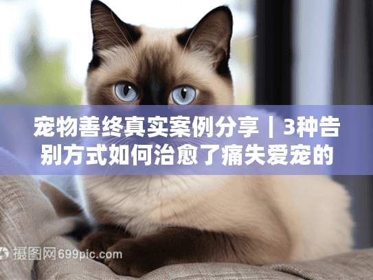 宠物善终真实案例分享｜3种告别方式如何治愈了痛失爱宠的家庭