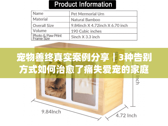 宠物善终真实案例分享｜3种告别方式如何治愈了痛失爱宠的家庭
