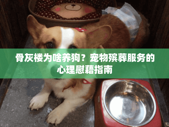 骨灰楼为啥养狗？宠物殡葬服务的心理慰藉指南