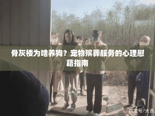 骨灰楼为啥养狗？宠物殡葬服务的心理慰藉指南