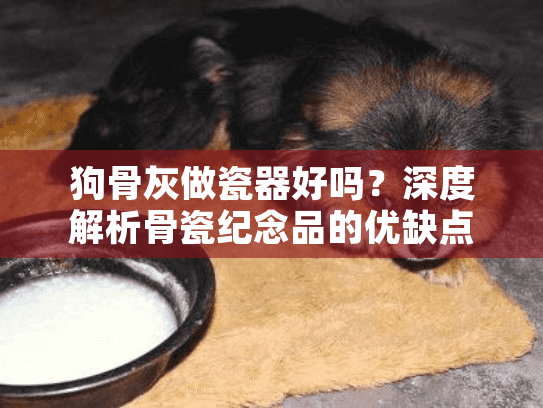 狗骨灰做瓷器好吗？深度解析骨瓷纪念品的优缺点与替代方案